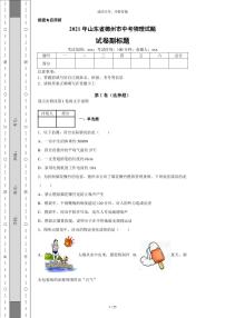 2021年山东省德州市中考物理试题-（带答案）