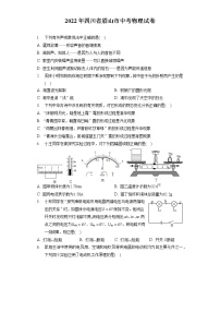 2022年四川省眉山市中考物理试卷（含答案解析）