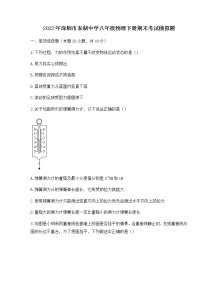 2021-2022学年广东省深圳市八年级下学期物理期末考试模拟题（无答案）