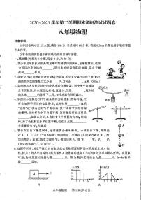 河南省平顶山市2020-2021学年下学期八年级期末统考物理试题及答案