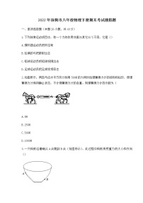 广东省深圳市2021-2022学年八年级下学期物理期末考试模拟题（无答案）