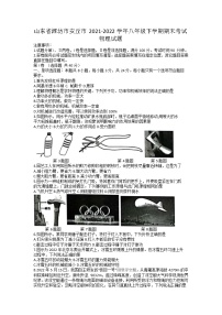 山东省潍坊市安丘市2021-2022学年八年级下学期期末考试物理试题（无答案）