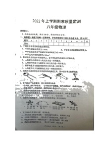 湖南省岳阳市岳阳县2021-2022学年八年级下学期期末质量监测物理试题（无答案）