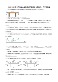 2021-2022学年人教版八年级物理下册期末专题复习：力学实验题