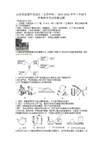 山东省淄博市临淄区（五四制）2021-2022学年八年级下学期期末考试物理试题（无答案）