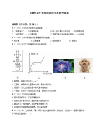 2019年广东省深圳市中考物理试卷