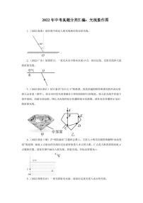 2022年中考物理真题分类汇编——光现象作图附真题答案