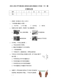 2021-2022学年黑龙江省哈尔滨市双城区八年级（下）期末物理试卷（含解析）