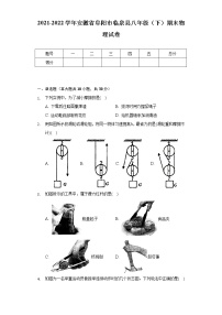 2021-2022学年安徽省阜阳市临泉县八年级（下）期末物理试卷（含解析）