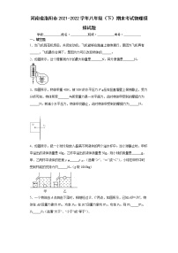 河南省洛阳市2021-2022学年八年级（下）期末考试物理模拟试题(word版含答案)