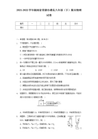 2021-2022学年湖南省常德市澧县八年级（下）期末物理试卷（Word解析版）