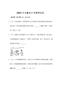 【中考物理】2022年安徽省中考物理试卷含解答