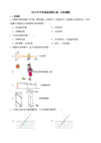 2022年中考物理真题汇编：光和眼睛及答案