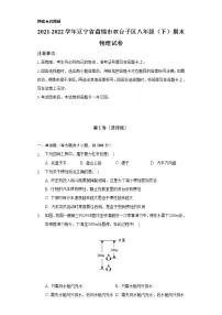 2021-2022学年辽宁省盘锦市双台子区八年级(下)期末物理试卷(含解析)