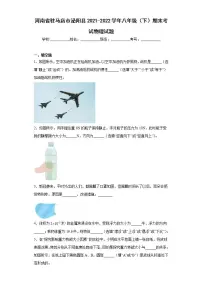 河南省驻马店市泌阳县2021-2022学年八年级（下）期末考试物理试题(word版含答案)