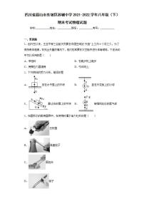 四川省眉山市东坡区苏辙中学2021-2022学年八年级（下）期末考试物理试题(word版含答案)