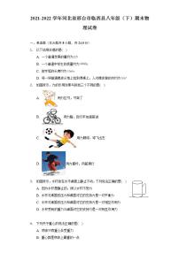 河北省邢台市临西县2021-2022学年八年级下学期期末物理试卷(word版含答案)