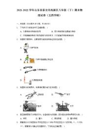 山东省泰安市高新区2021-2022学年八年级下学期期末物理试卷（五四学制）(word版含答案)