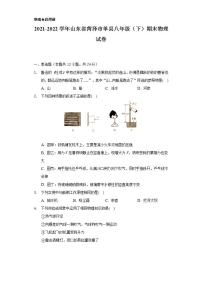 2021-2022学年山东省菏泽市单县八年级（下）期末物理试卷（含解析）