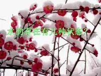 初中物理二 熔化和凝固完美版课件ppt