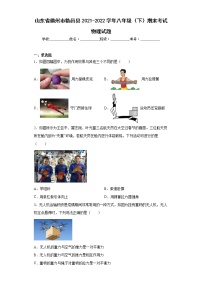 山东省德州市临邑县2021-2022学年八年级（下）期末考试物理试题(word版含答案)