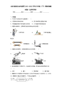 山东省泰安市高新区2021-2022学年八年级（下）期末物理试题（五四学制）(word版含答案)