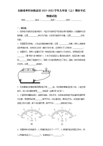 安徽省阜阳市临泉县2021-2022学年九年级（上）期末考试物理试题(word版含答案)