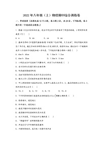 安徽省宁国市2022年八年级（上）物理期中综合训练卷(word版，含答案)