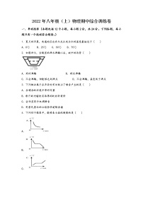 安徽省肥东县2022年八年级（上）物理期中综合训练卷(word版，含答案)