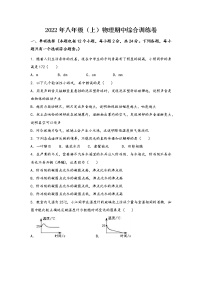 安徽省铜陵市狮子山区2022年八年级（上）物理期中综合训练卷(word版，含答案)