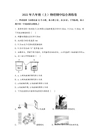 河南省新县2022年八年级（上）物理期中综合训练卷(word版，含答案)