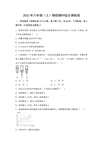 河南省台前县2022年八年级（上）物理期中综合训练卷(word版，含答案)