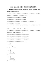 河南省清丰县2022年八年级（上）物理期中综合训练卷(word版，含答案)