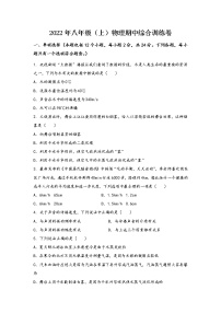 河南省栾川县2022年八年级（上）物理期中综合训练卷(word版，含答案)