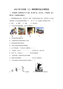 河南省鲁山县2022年八年级（上）物理期中综合训练卷(word版，含答案)