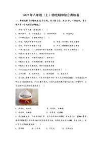 河南省巩义市2022年八年级（上）物理期中综合训练卷(word版，含答案)