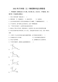 河南省安阳市文峰区2022年八年级（上）物理期中综合训练卷(word版，含答案)