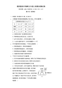 教科版初中物理九年级上册期末测试卷（含答案解析）