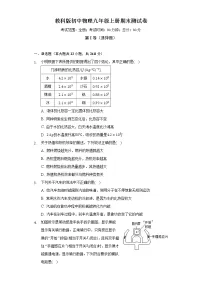 教科版初中物理九年级上册期末测试卷（含答案解析）