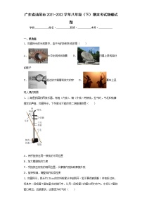 广东省汕尾市2021-2022学年八年级（下）期末考试物理试题(word版含答案)