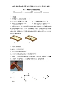 山东省泰安市岱岳区（五四制）2021-2022学年八年级（下）期中考试物理试题(word版含答案)