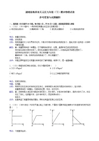 九年级物理（有答案）湖南省株洲市天元区年九年级（下）期末物理试卷