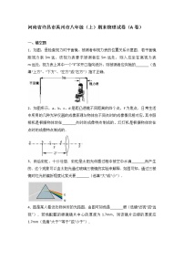 物理八年级上河南省许昌市禹州市八年级（上）期末物理试卷(WORD版，含解析)（a卷）