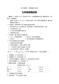 九年级物理山东省枣庄市台儿庄区九年级上学期期中考试物理试题（含答案）