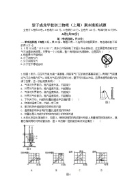 九年级物理四川省望子成龙学校九年级上学期期末模拟物理试题