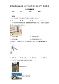 陕西省渭南市白水县2021_2022学年八年级（下）期末质量检测物理试题(word版含答案)