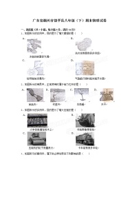 物理八年级下 广东省潮州市饶平县八年级（下）期末物理试卷（word版，含解析）