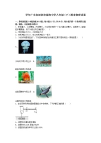 物理八年级下 广东省深圳市前海中学八年级（下）期末物理试卷（解析版）