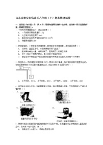 物理八年级下 山东省泰安市岱岳区八年级（下）期末物理试卷（解析版）