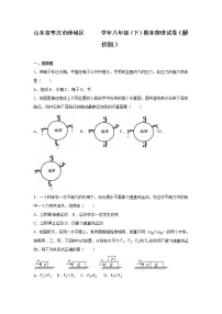 物理八年级下 山东省枣庄市薛城区八年级（下）期末物理试卷（解析版）